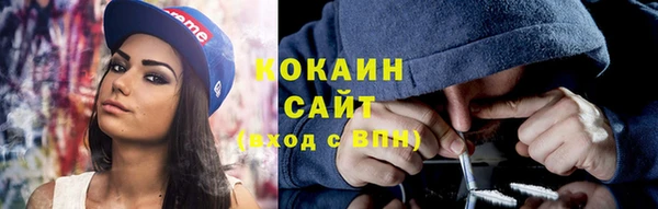 гашик Майский