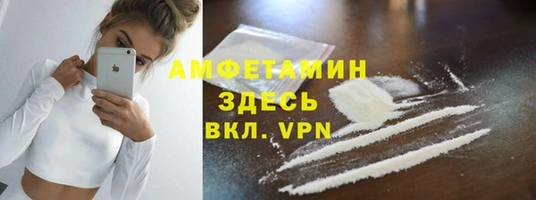 гашик Майский