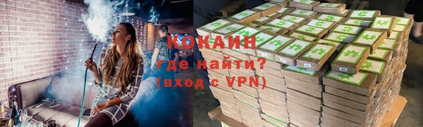 гашик Майский
