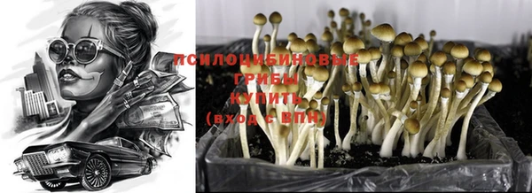 ECSTASY Одинцово