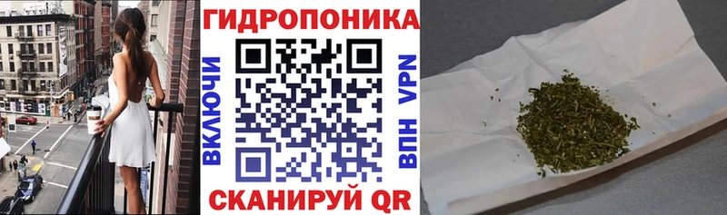 Канабис OG Kush  закладка  Хилок 